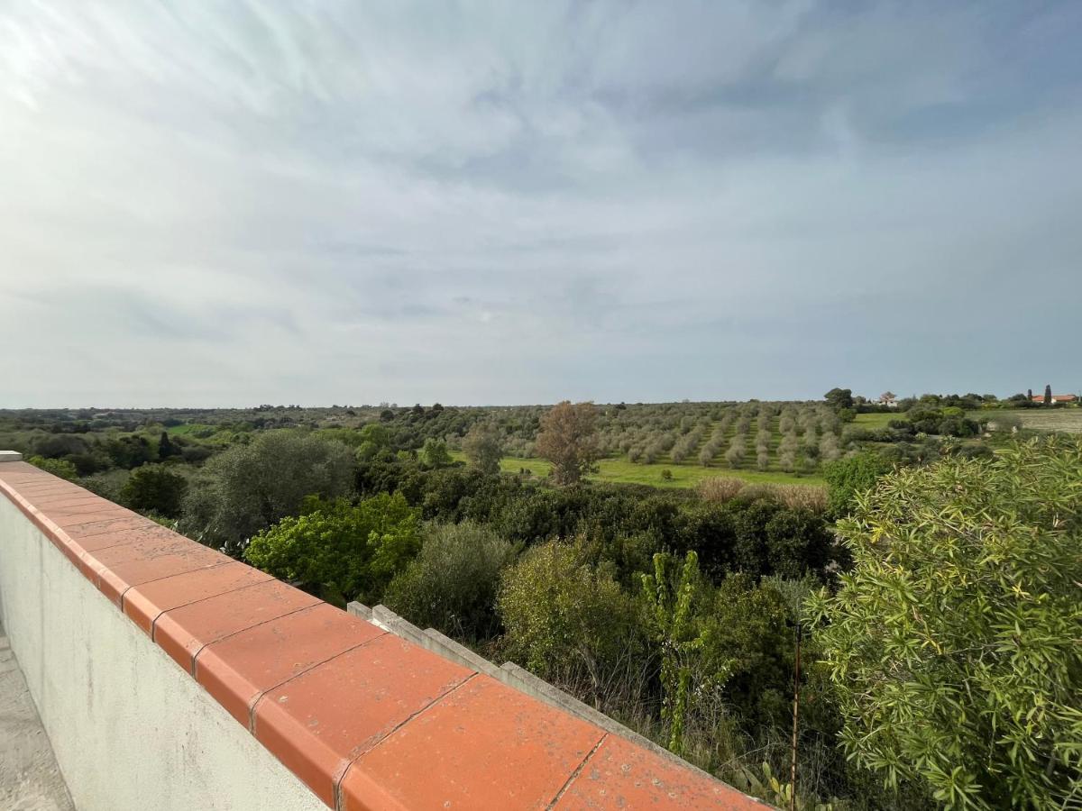 사사리 La Valle Incantata - Immerso Nel Verde A 10 Minuti Dal Mare 아파트 외부 사진